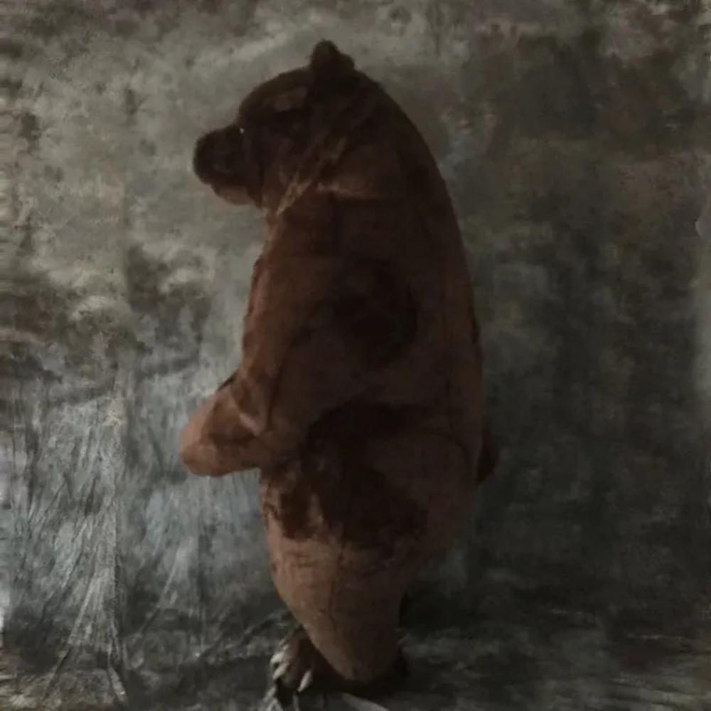 Fato de mascote de urso-pardo  - Halloween Costume Adult avaliação e preço